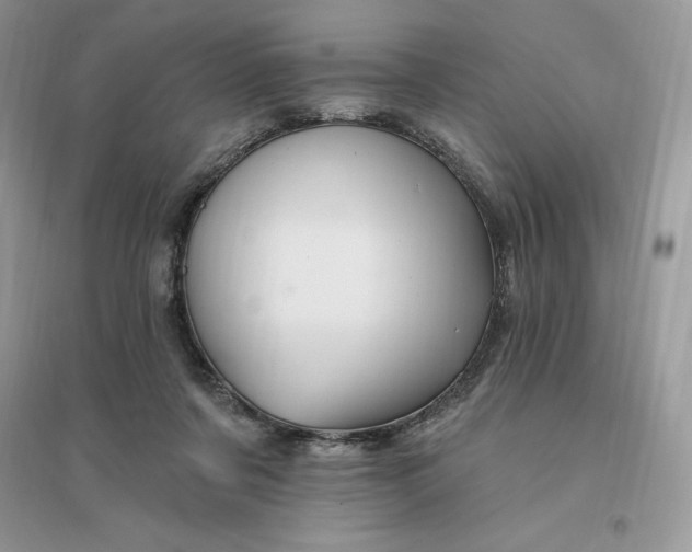 X0000096190311200802011413