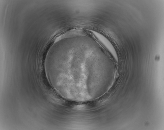 X0000096190312200802011413