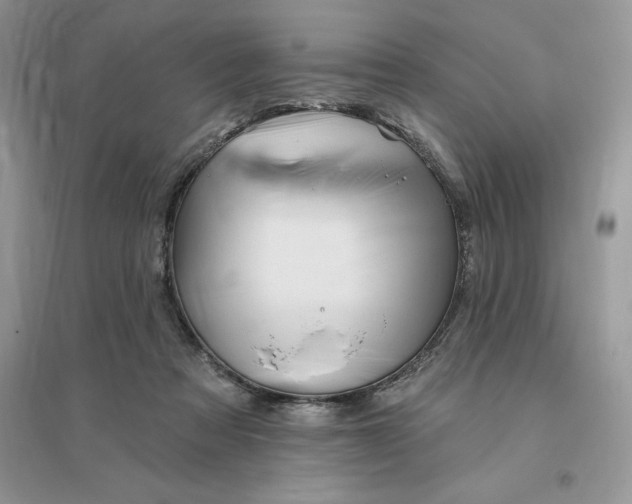 X0000096190313200802011413