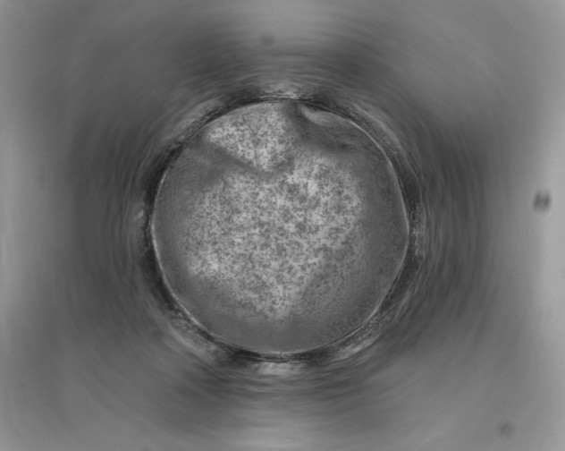 X0000096190314200802011413