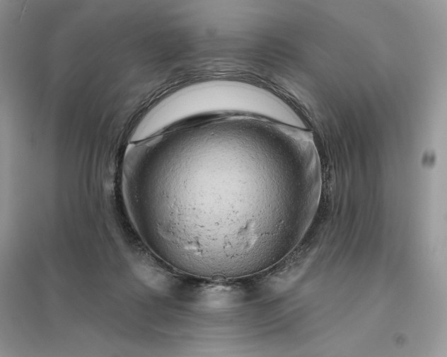 X0000096190315200802011413