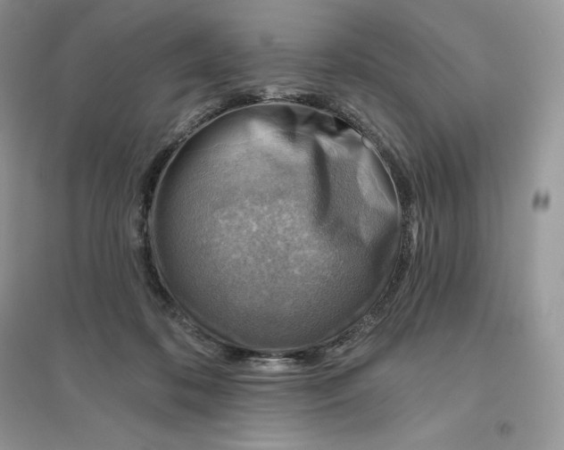 X0000096190316200802011413