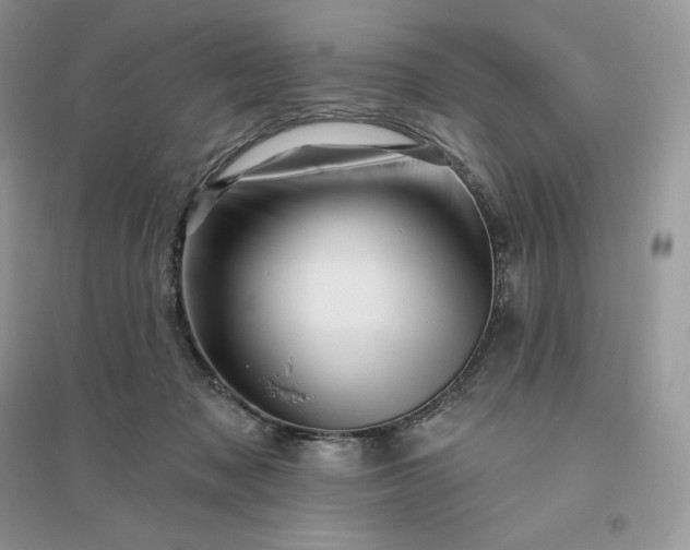 X0000096190317200802011413