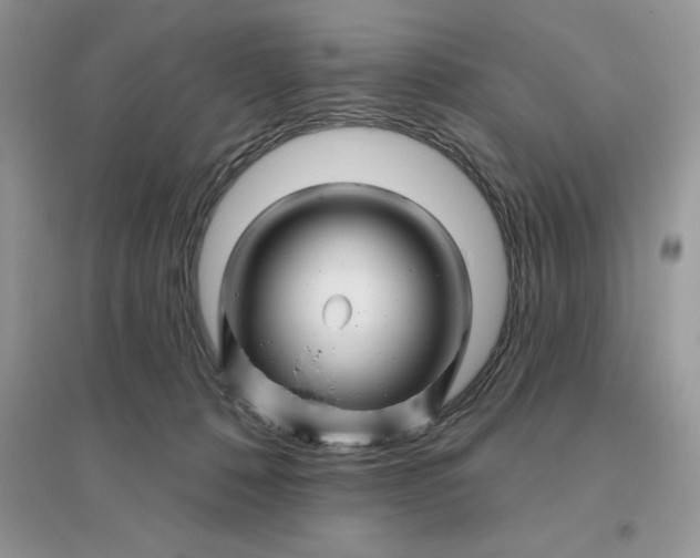 X0000096190320200802011413