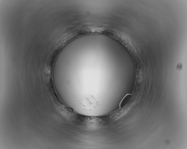 X0000096190321200802011413