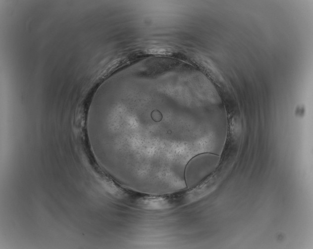 X0000096190322200802011413