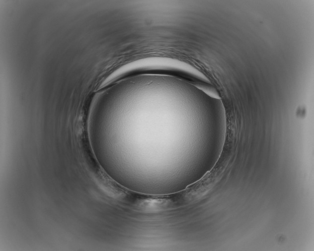 X0000096190323200802011413