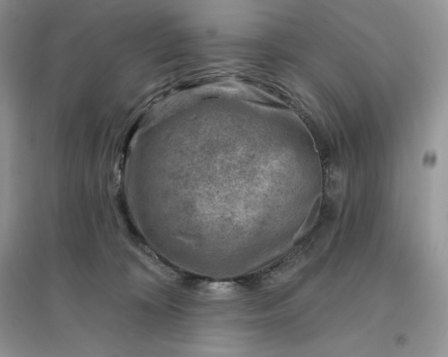 X0000096190324200802011413