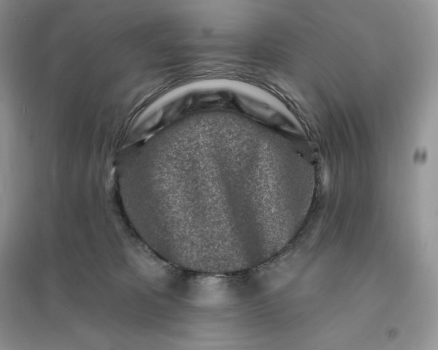 X0000096190325200802011413