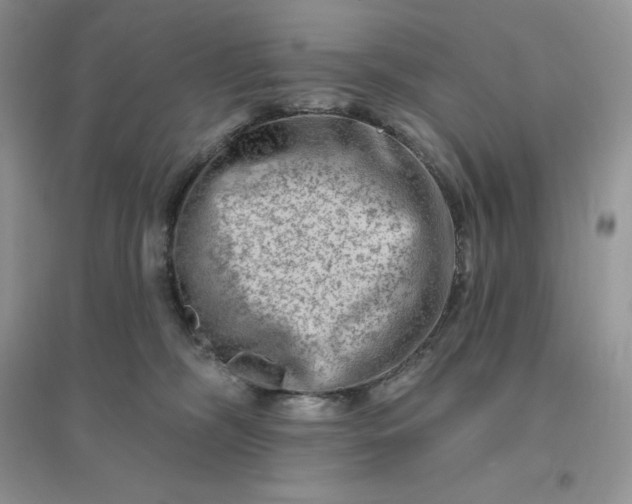 X0000096190326200802011413