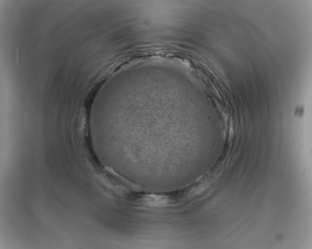 X0000096190328200802011413