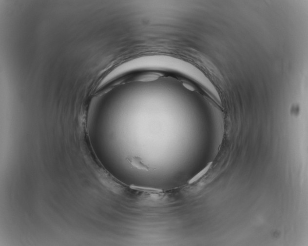 X0000096190329200802011413