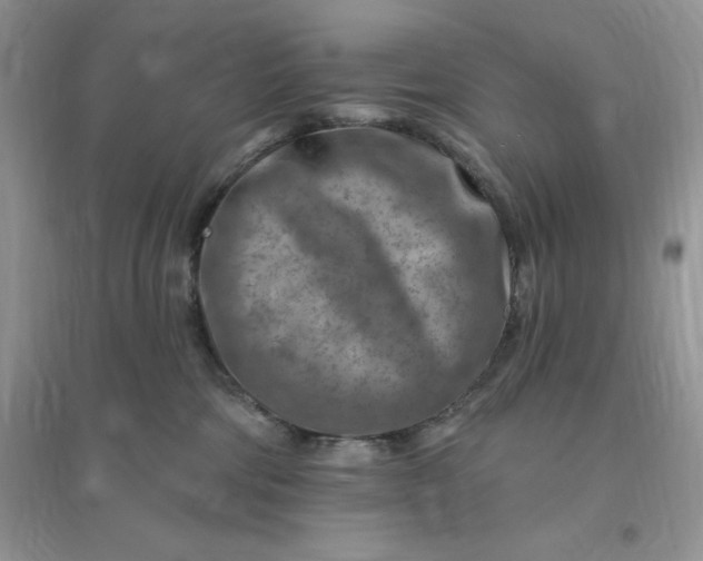 X0000096190330200802011413