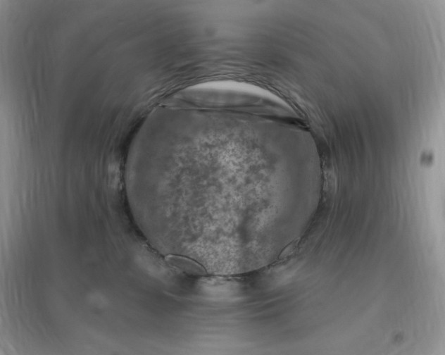 X0000096190331200802011413