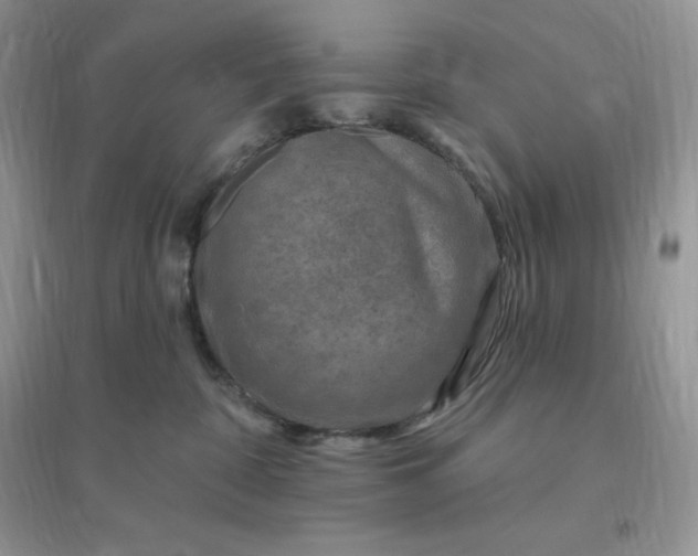 X0000096190332200802011413