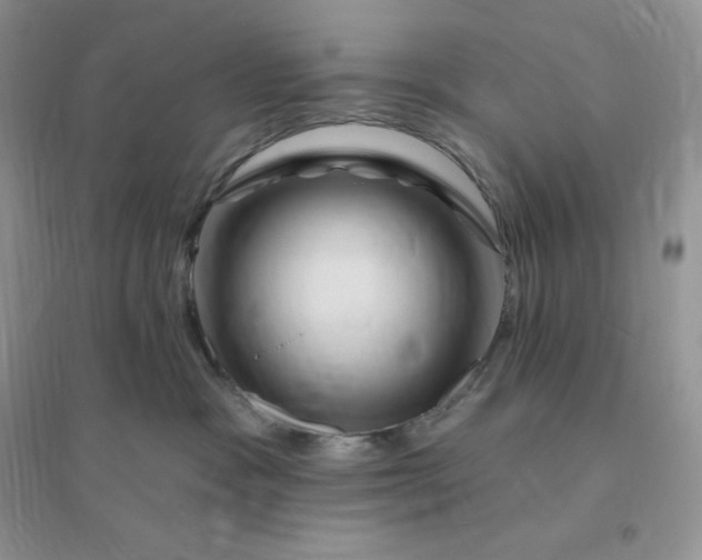 X0000096190333200802011413