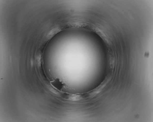 X0000096190334200802011413