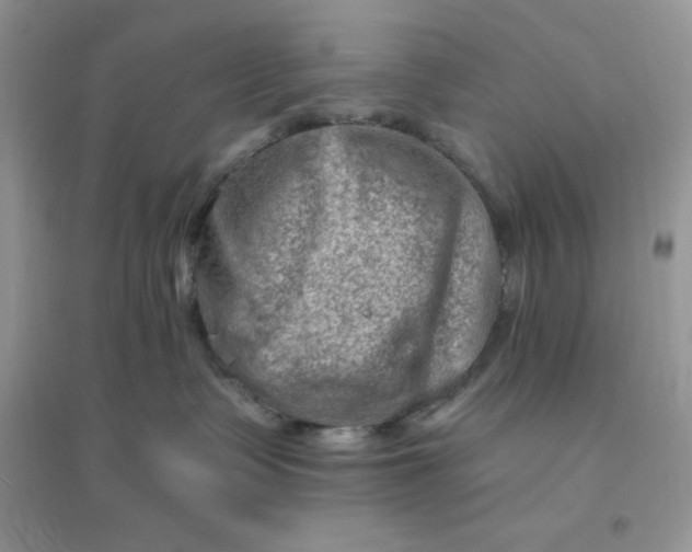 X0000096190335200802011412