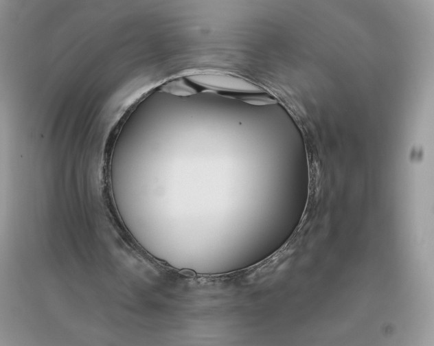 X0000096190338200802011412