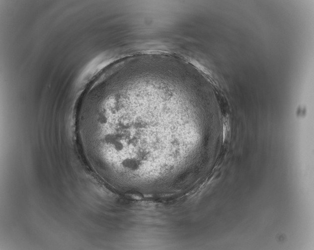 X0000096190339200802011412