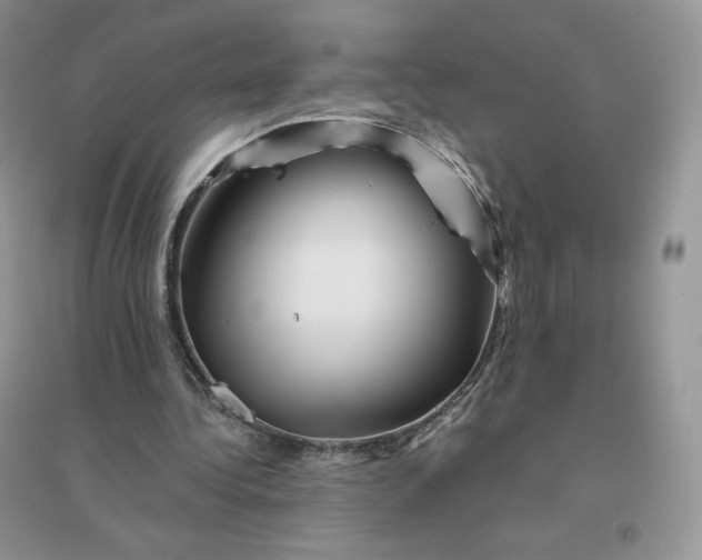 X0000096190340200802011412