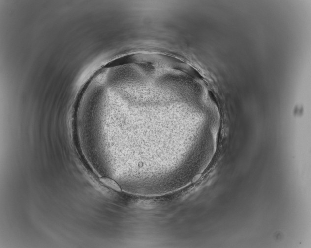 X0000096190341200802011412