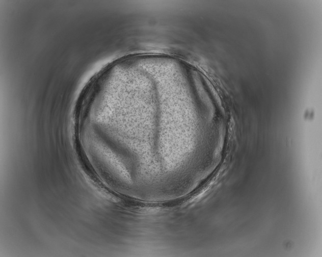 X0000096190342200802011412