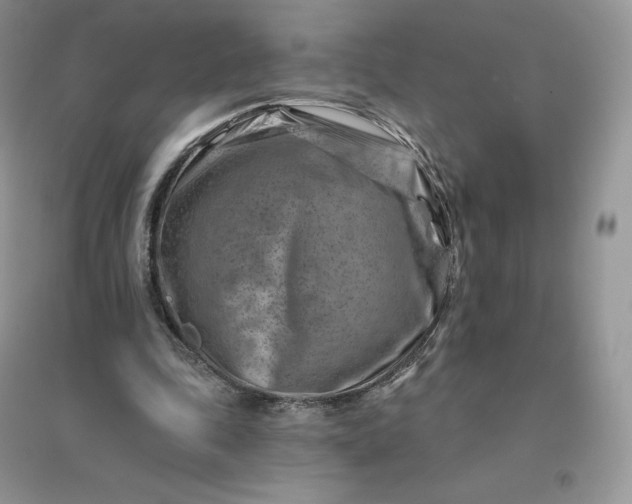 X0000096190343200802011412