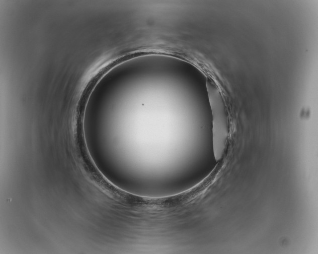 X0000096190344200802011412