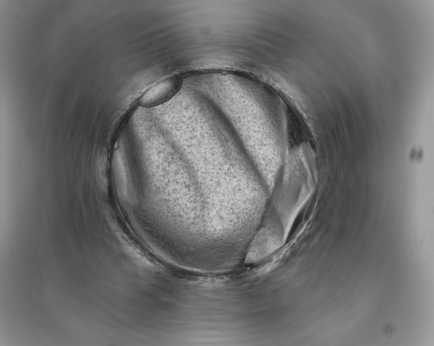 X0000096190345200802011412