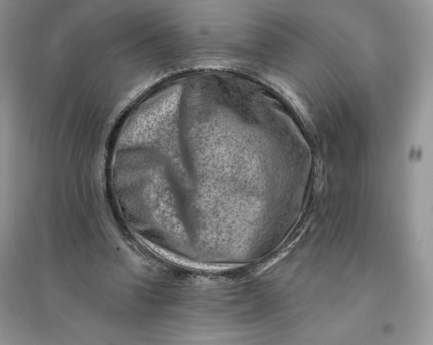 X0000096190346200802011412