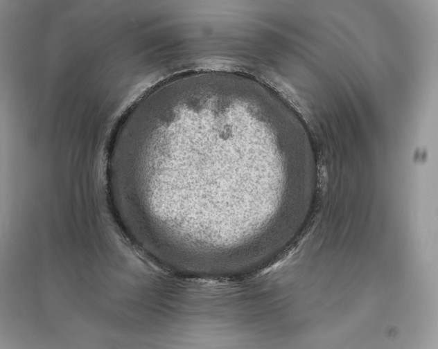 X0000096190347200802011412