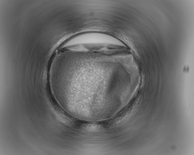 X0000096190348200802011412