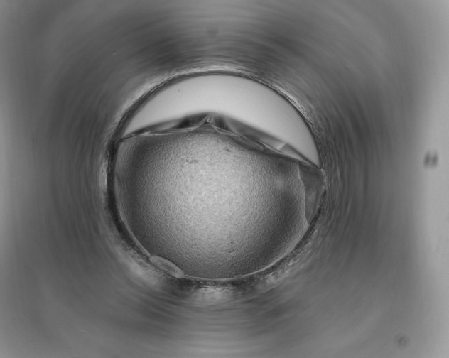 X0000096190350200802011412