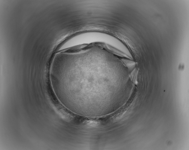 X0000096190352200802011412