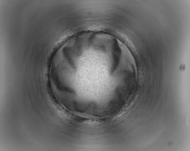 X0000096190354200802011412