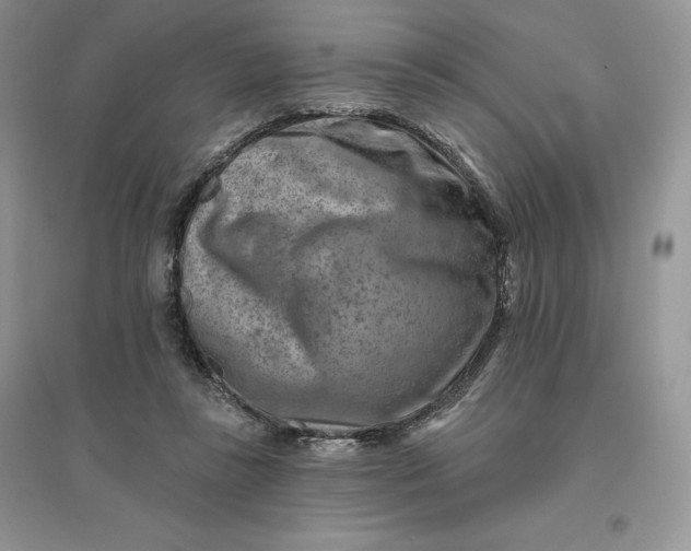 X0000096190355200802011412