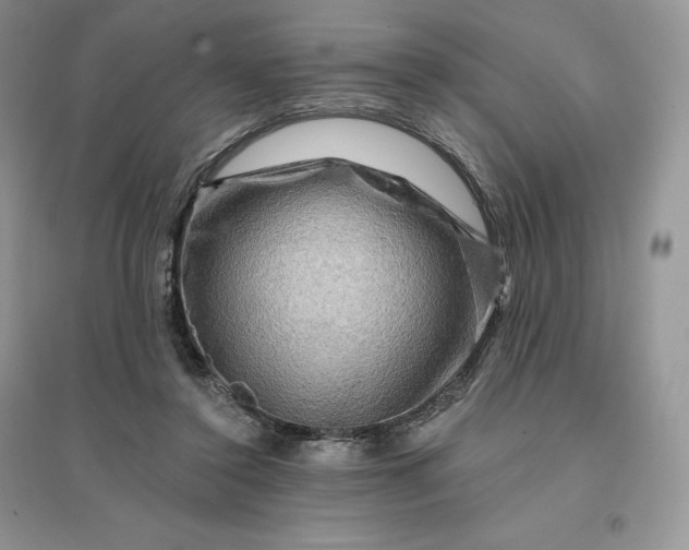 X0000096190356200802011412