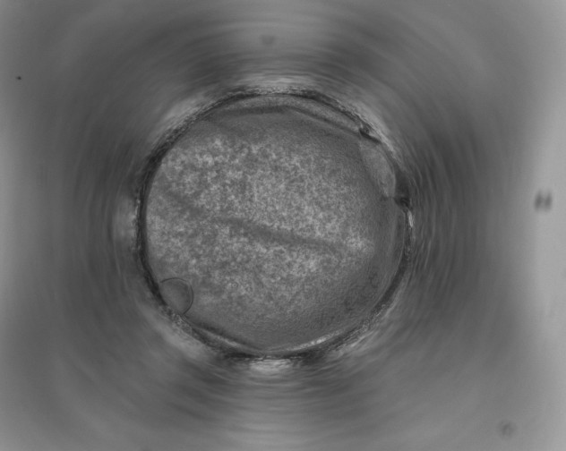 X0000096190357200802011412