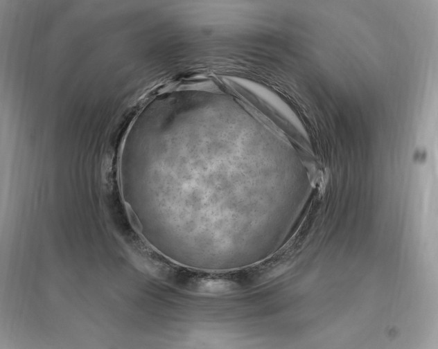 X0000096190360200802011412