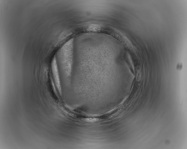 X0000096190363200802011412