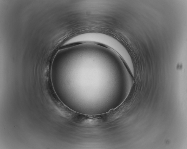 X0000096190364200802011412