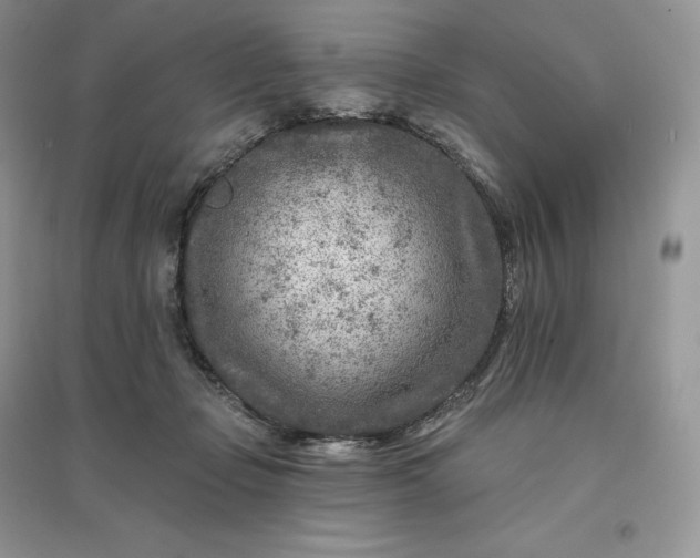 X0000096190365200802011412