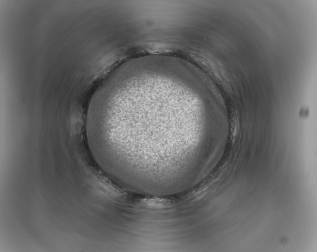 X0000096190367200802011412