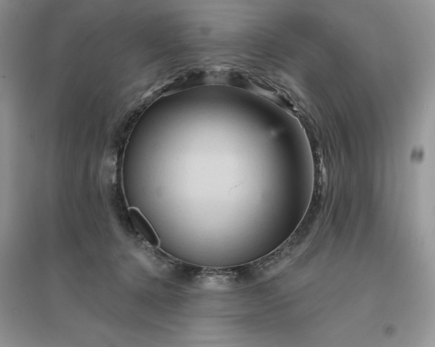 X0000096190368200802011412