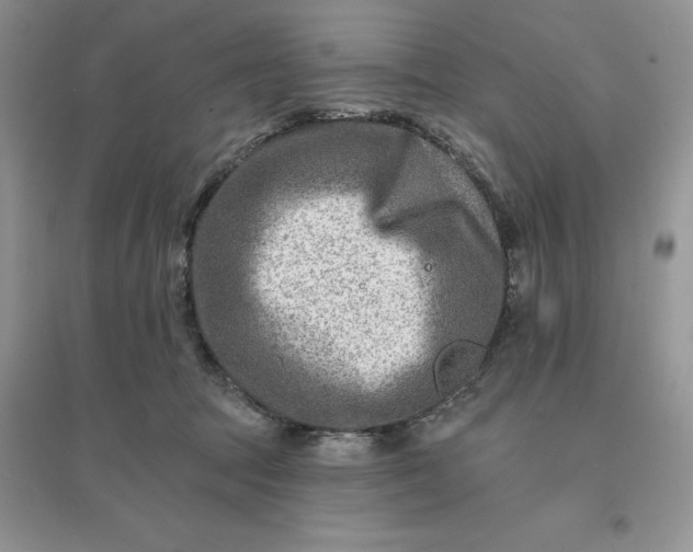 X0000096190369200802011412