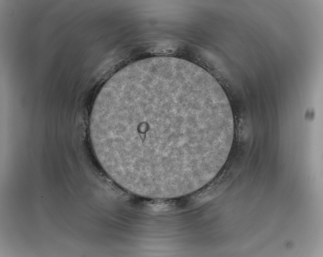 X0000096190370200802011412