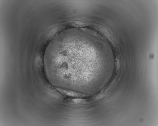 X0000096190371200802011412