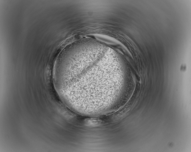 X0000096190372200802011412