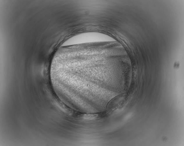 X0000096190373200802011412